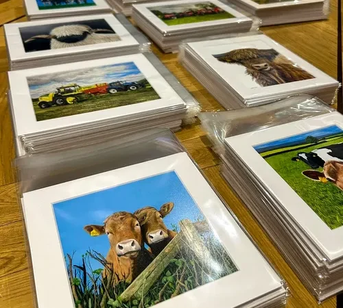Mounted and packaged art prints of farm animals and countryside scenes
