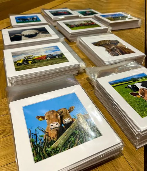 Mounted and packaged art prints of farm animals and countryside scenes