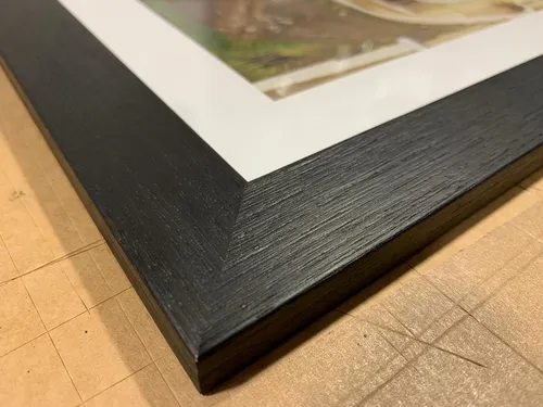Cut photo mounts in a range of apertures and colours